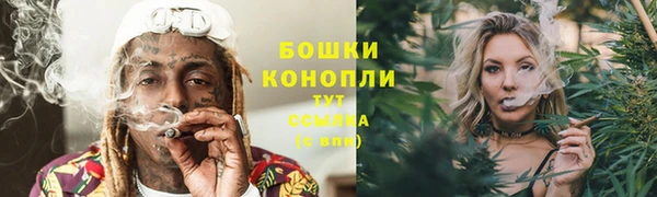 spice Куйбышев