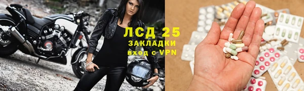 гашик Кукмор