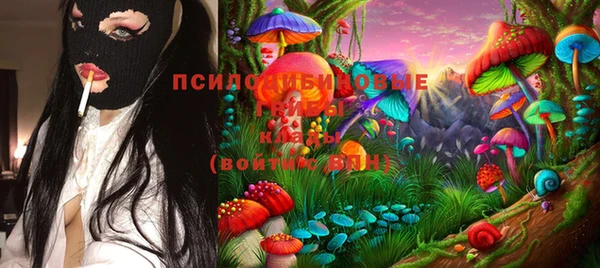 гашик Кукмор